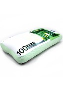 Подушка Игрушка 100 евро